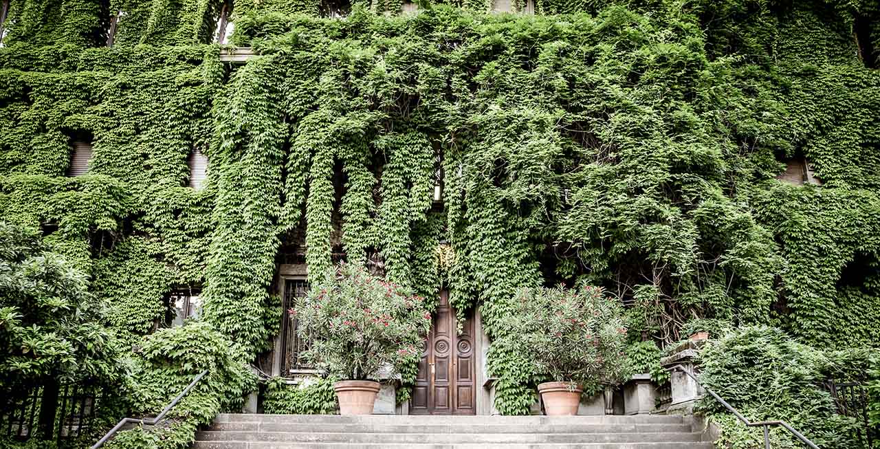 a building with the entrance covered in greenery