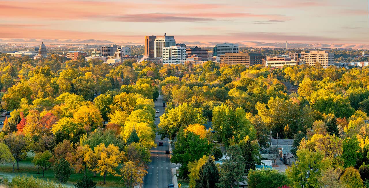 a city full of green trees