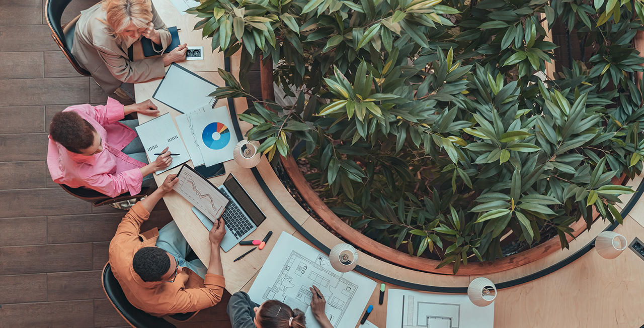 a team meeting in a modern biophilic office
